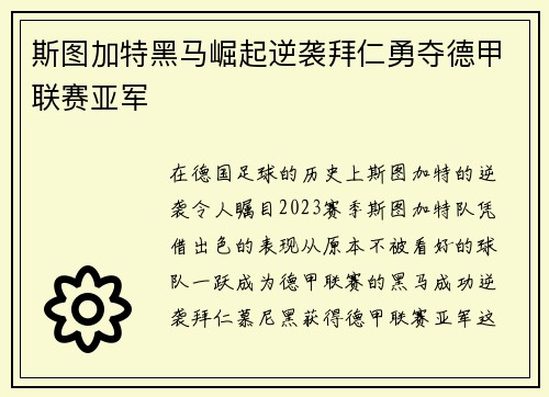 斯图加特黑马崛起逆袭拜仁勇夺德甲联赛亚军
